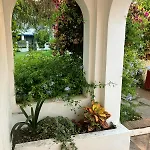 Brisa Y Paz
